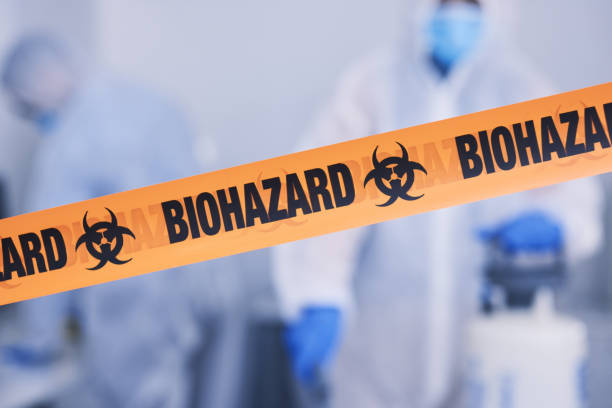Professional Odor Removal technician working in Fruitland, MD